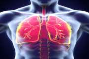 Unproven stem cell therapies for lung disease on the rise